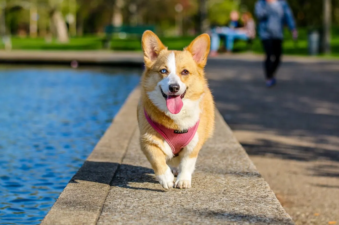 水